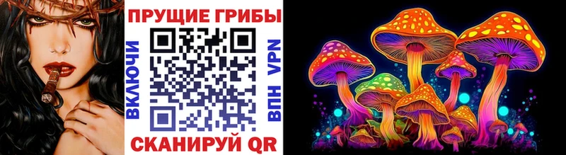 как найти   Колпашево  Галлюциногенные грибы мухоморы 